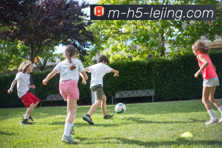 多媒体互动体验